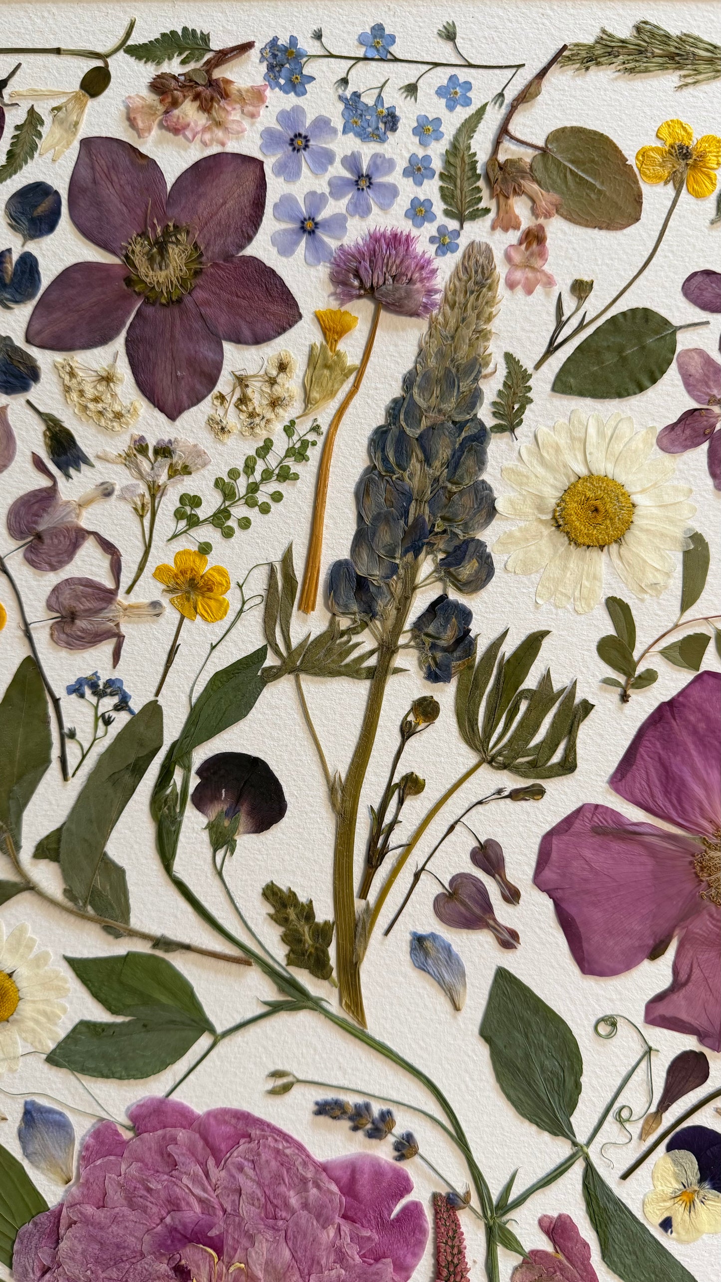 Seasons Collage- Original Pressed Flower Artwork Framed