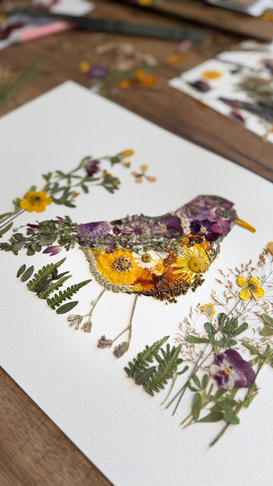 Spring Robin- Original Pressed Flower Artwork Framed