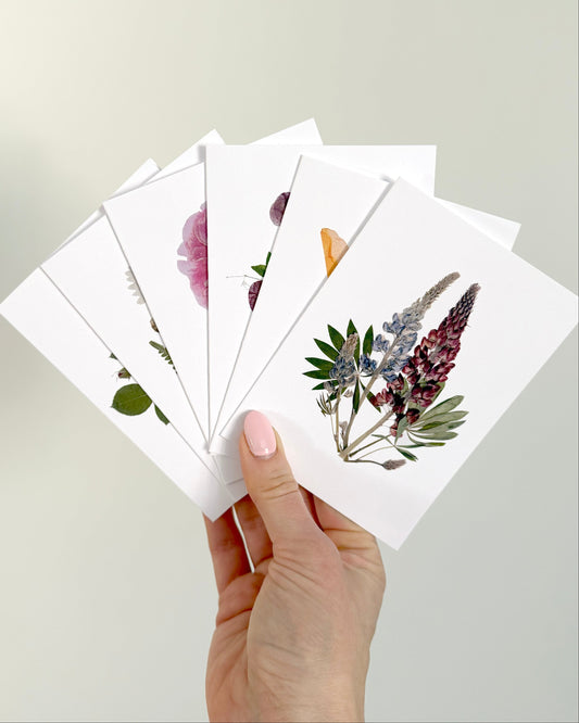 Hand holding a stack of floral postcards with a plain background