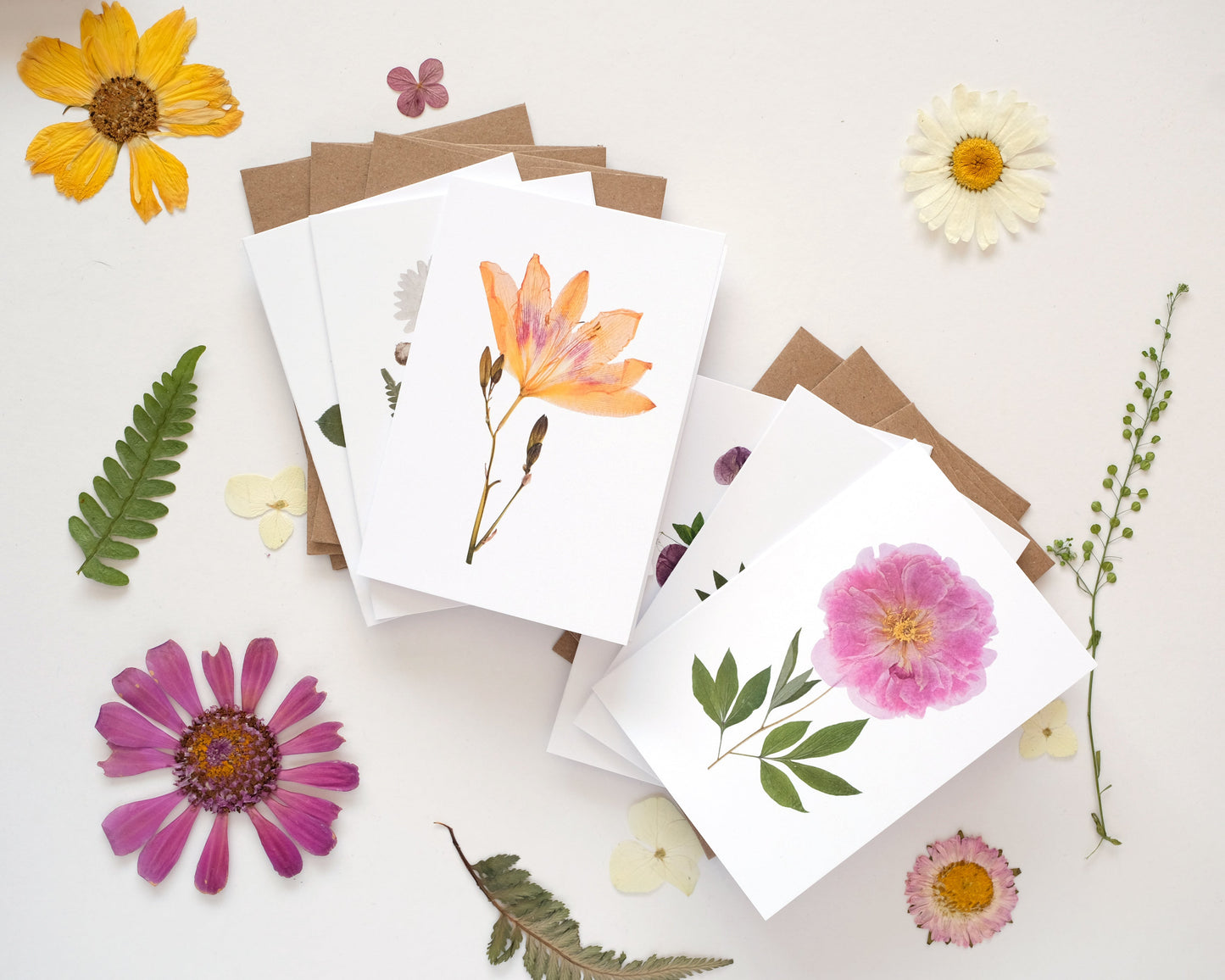 Floral cards with envelopes on a white background