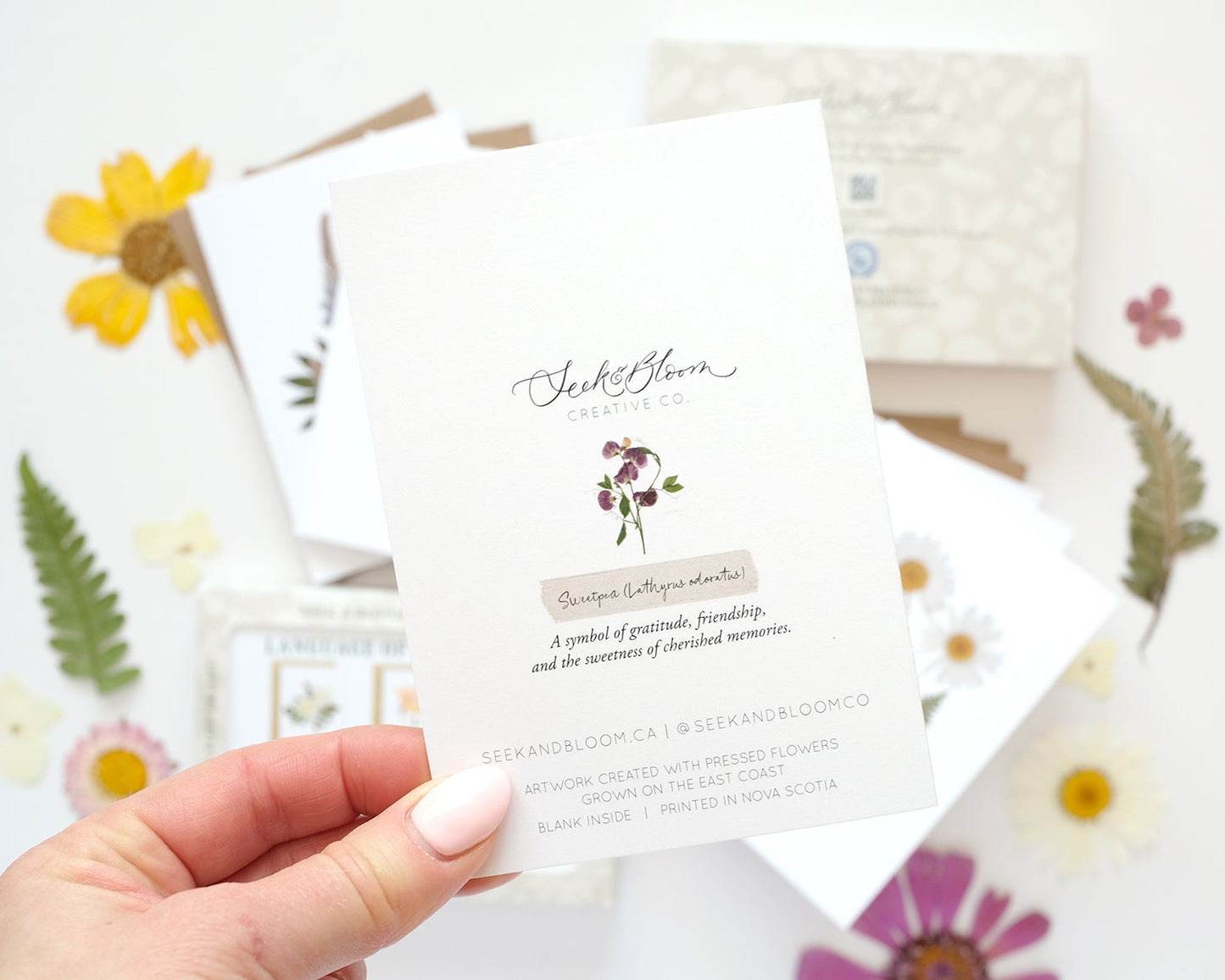 Language of Flowers - Mixed Note Card Set