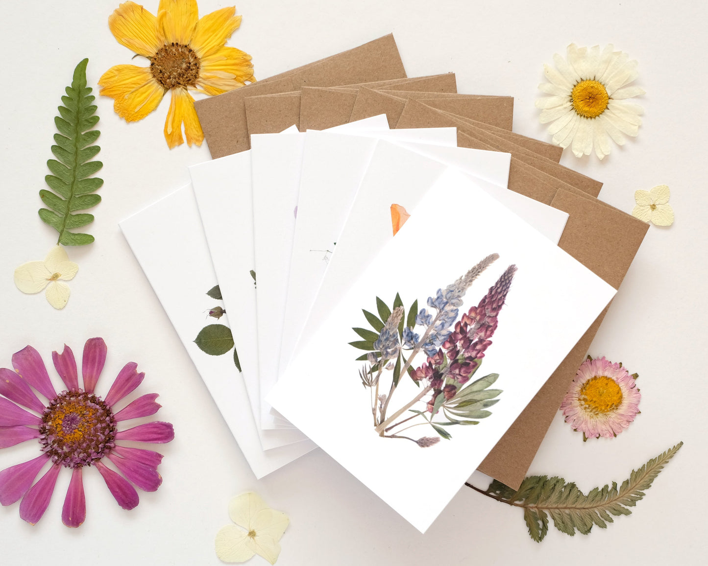 Set of greeting cards with pressed flowers and leaves on a white background