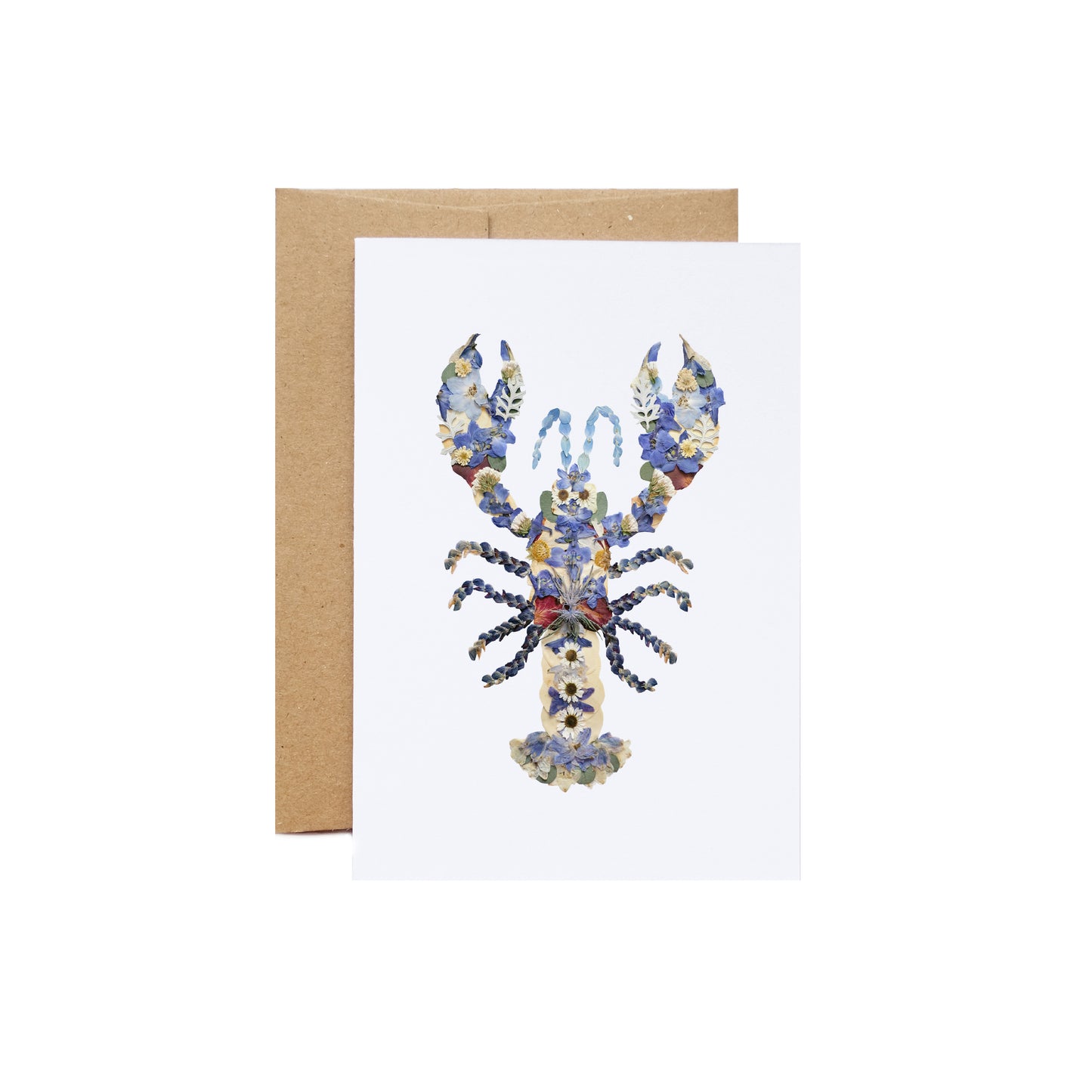 Lobster Blue, Pressed Flower Art, Large Card, Blank