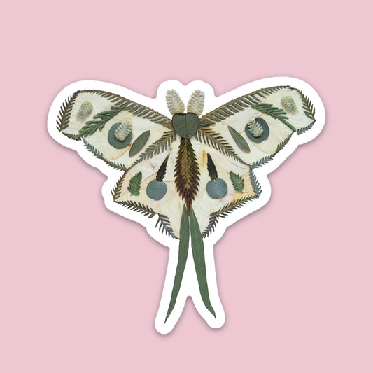 Moth Pressed Flowers, Sticker 3"