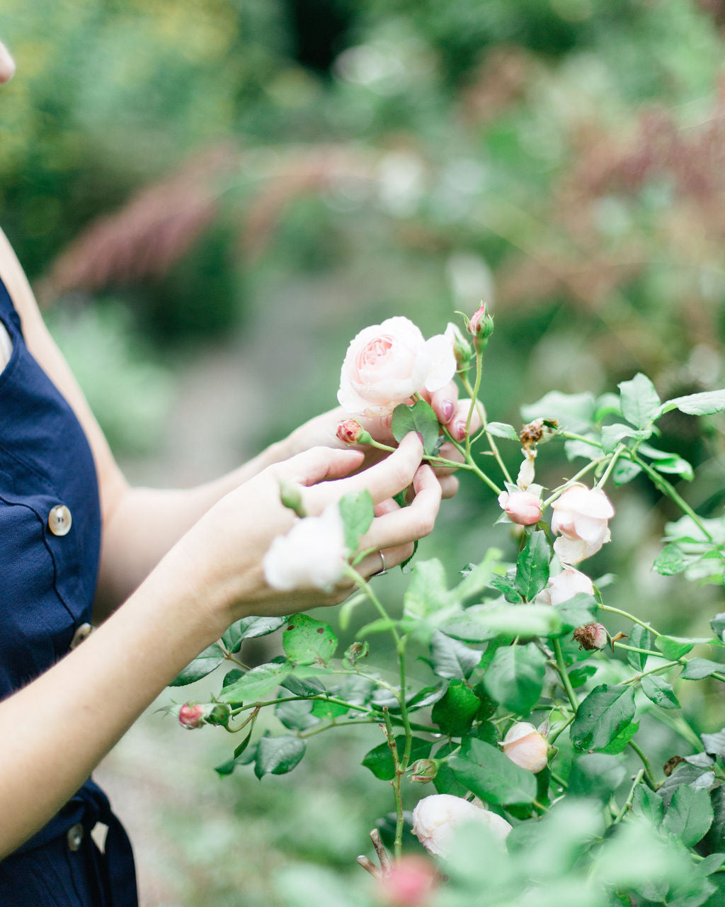 Heirloom Bloom Preservation (Deposit)