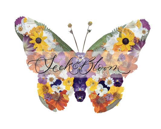 Butterfly Monarch, Pressed Flower Art Print