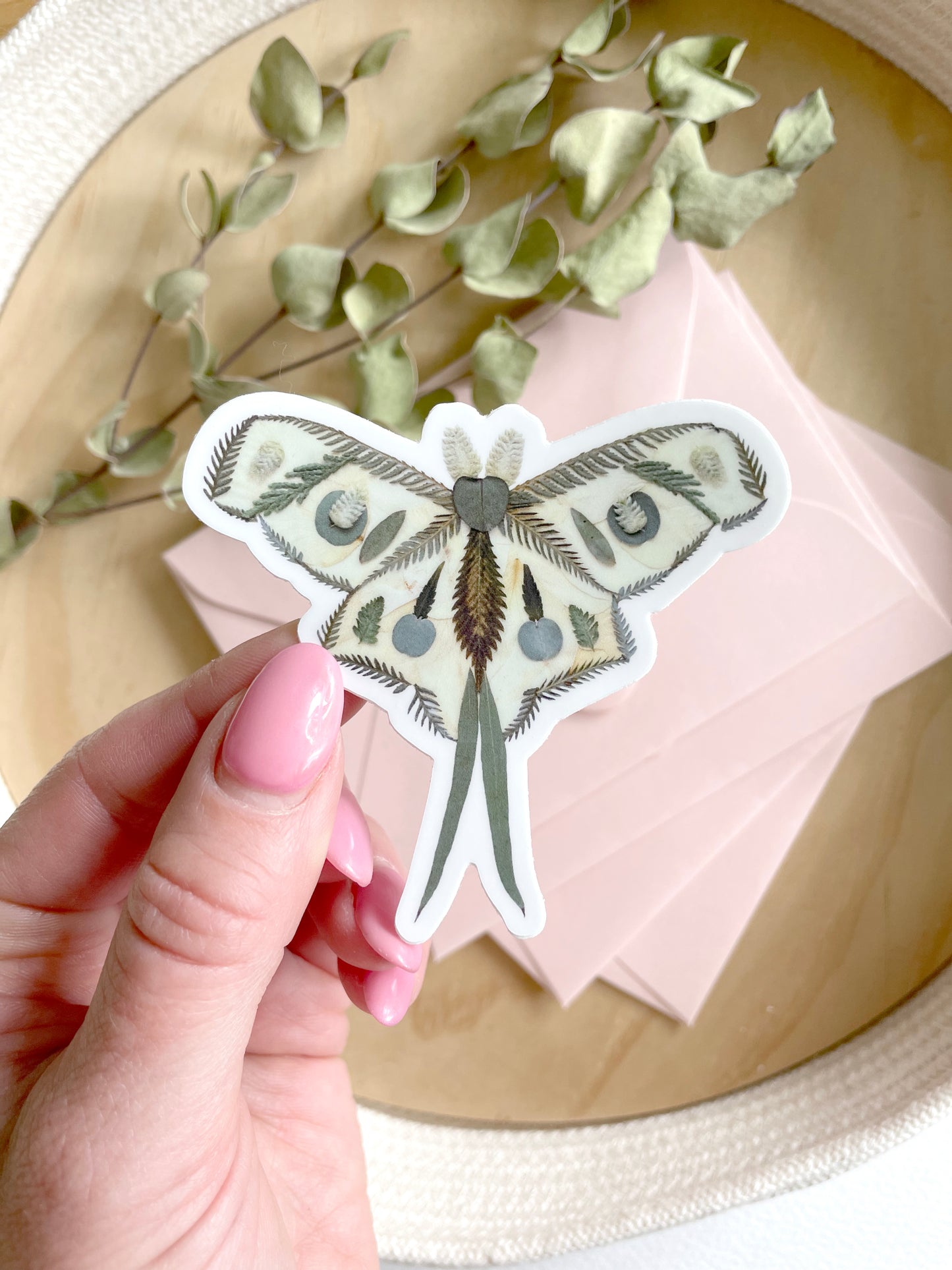 Moth Pressed Flowers, Sticker 3"