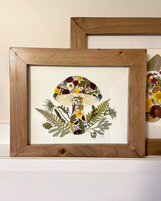 Mushroom - Original Pressed Flower Artwork Framed