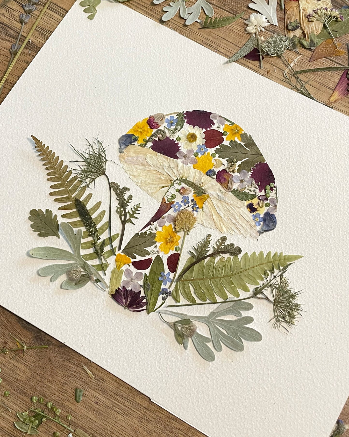 Mushroom - Original Pressed Flower Artwork Framed