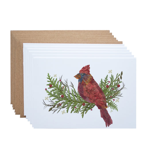 Cardinal,  Holiday Note Card Set