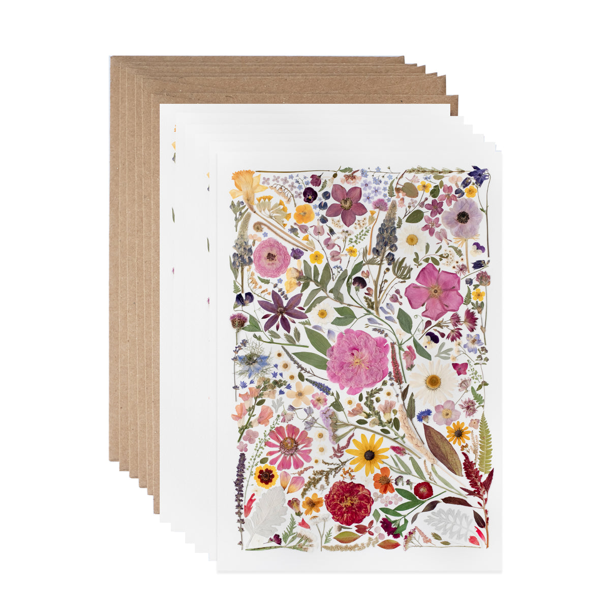 Seasons Collage, Note Card Set
