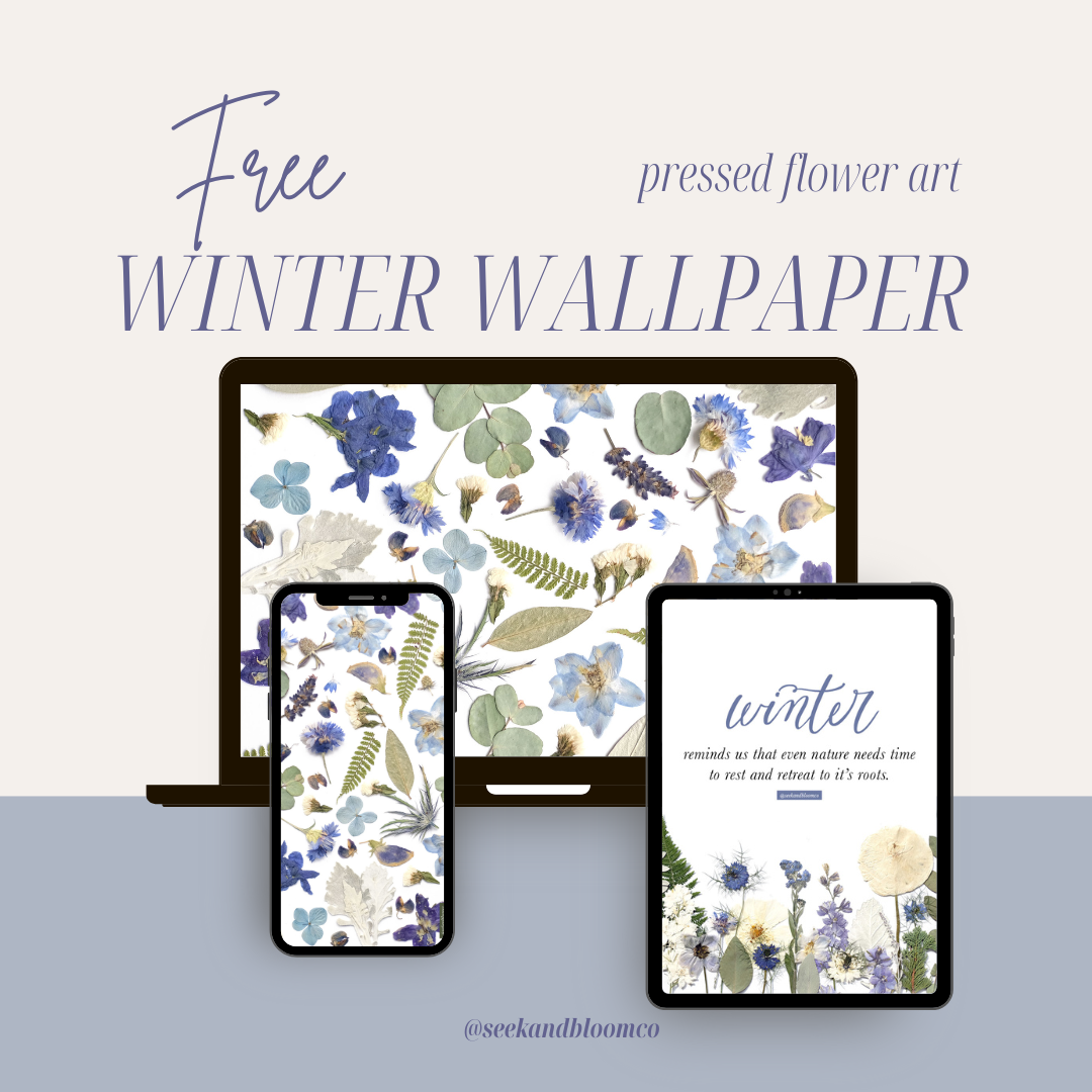 free winter pressed flower art wallpaper download digital pressed flower artwork