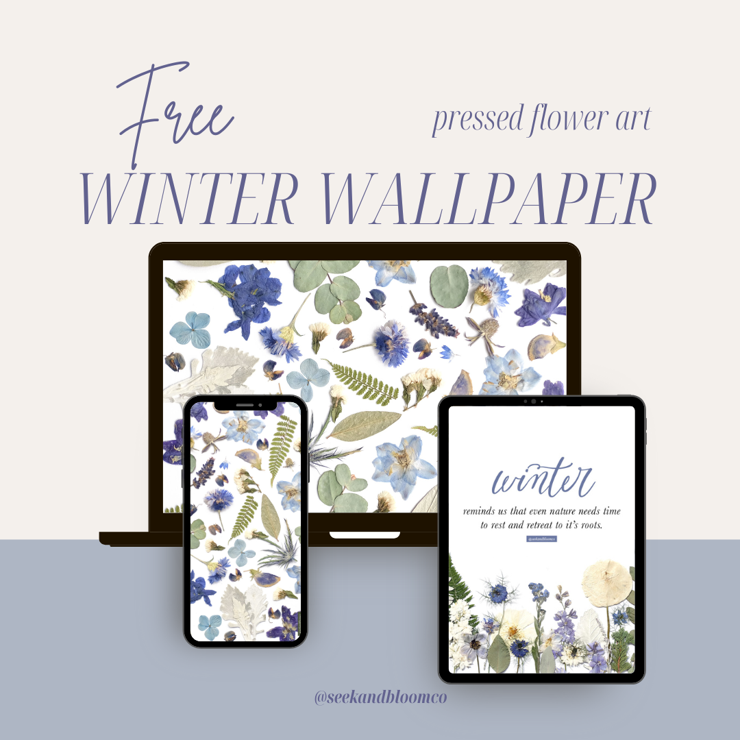 Winter Pressed Flower Pattern Wallpapers - Free Download