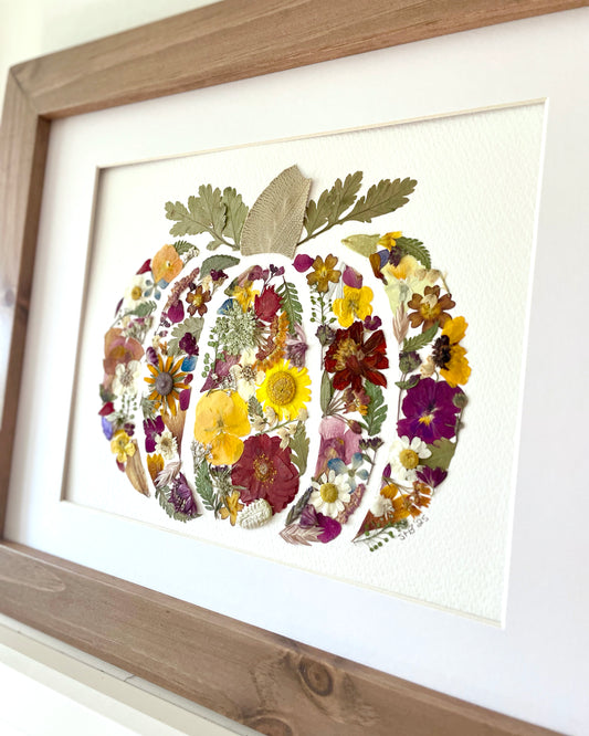 Pumpkin - Original Pressed Flower Artwork Framed