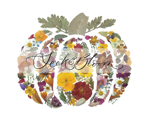 Pumpkin - Pressed Flower Art Print