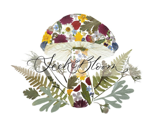 Mushroom - Pressed Flower Art Print
