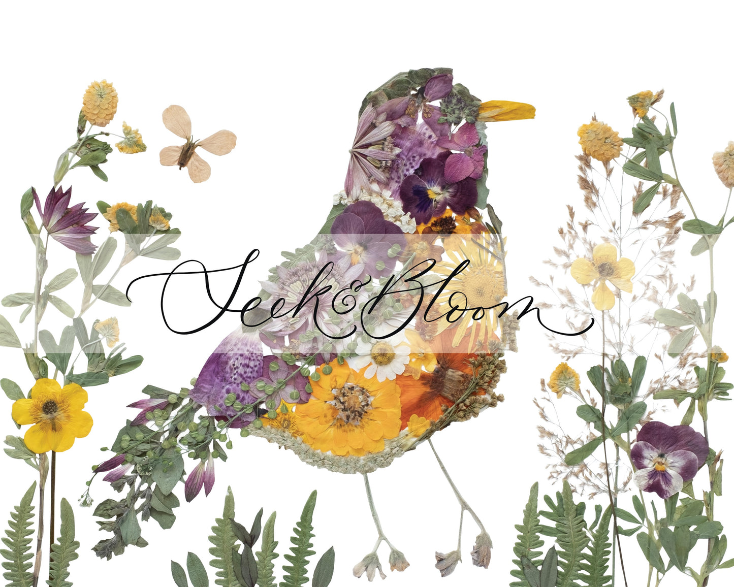 Robin Bird, Pressed Flower Art Print