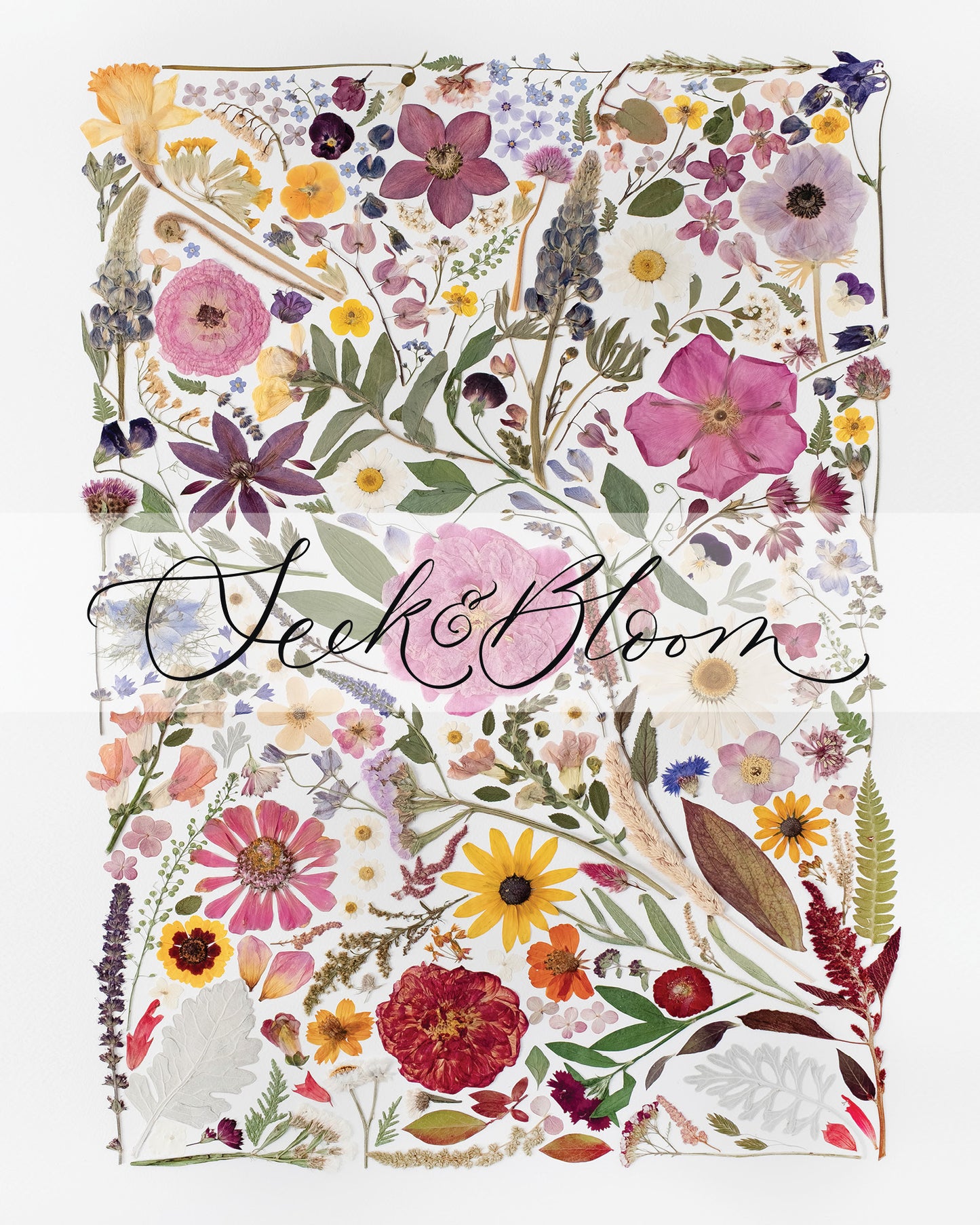 Seasons Collage, Pressed Flower Art Print
