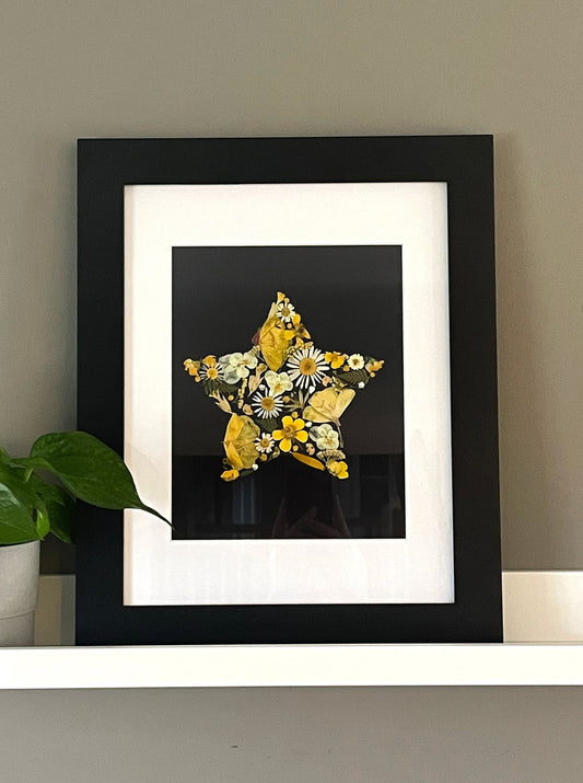 Star, Pressed Flower Original Artwork- 8x10" Framed
