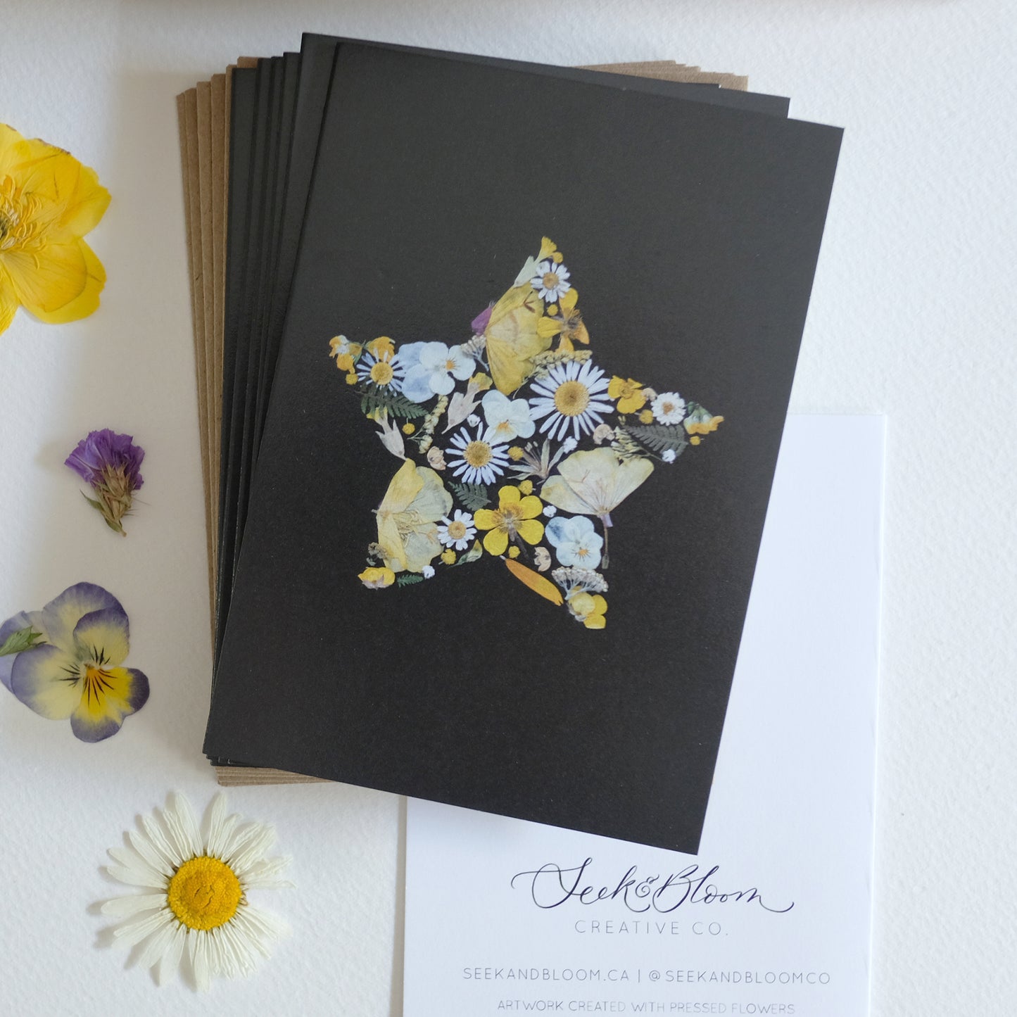 Star, Pressed Flower on Black, Note Card Set