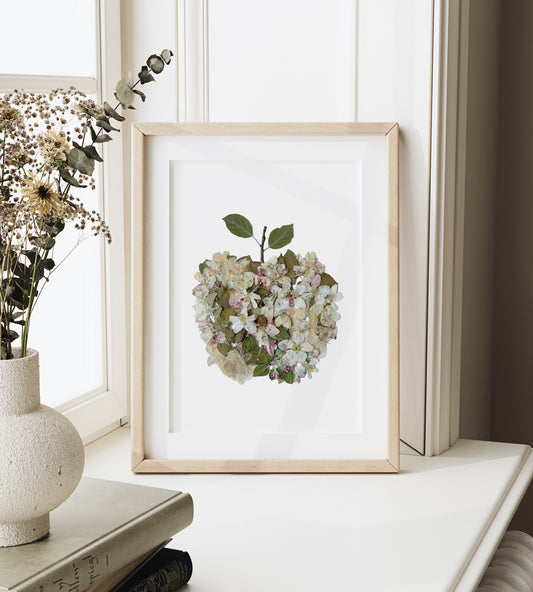 Apple Blossoms, Pressed Flower 8x10 Art Print