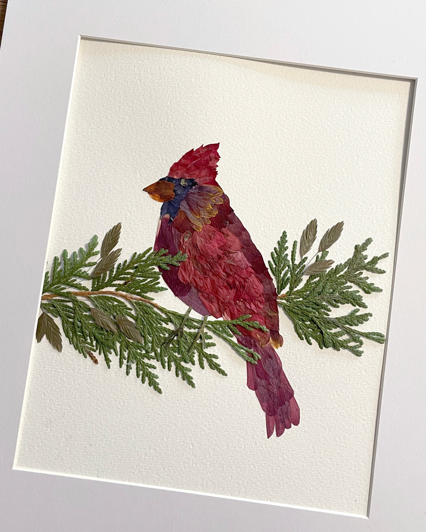 Cardinal - Original Pressed Flower Artwork Framed