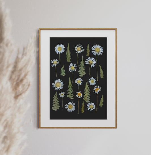 Wild Daisy and Fern Flower Collage, Pressed Flower 8x10 Art Print