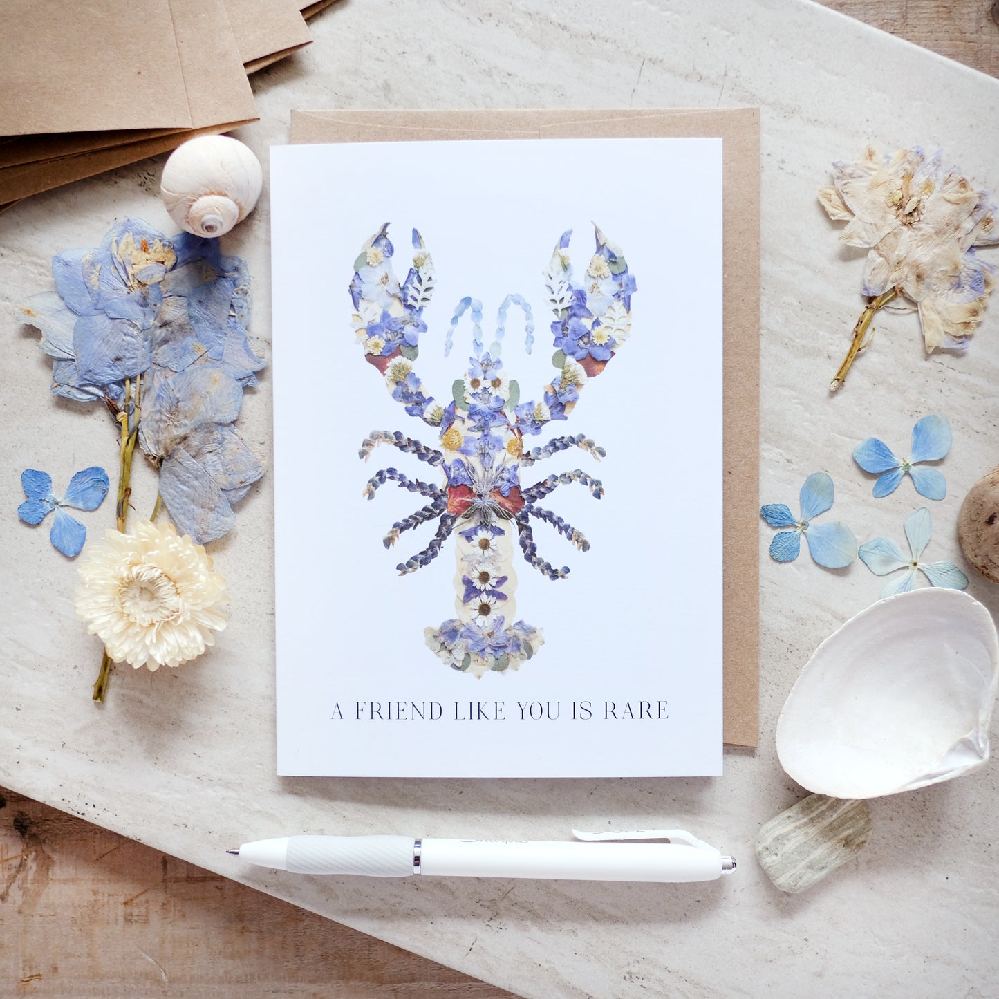 Lobster Blue, A Friend Like You is Rare, Everyday Friendship Card