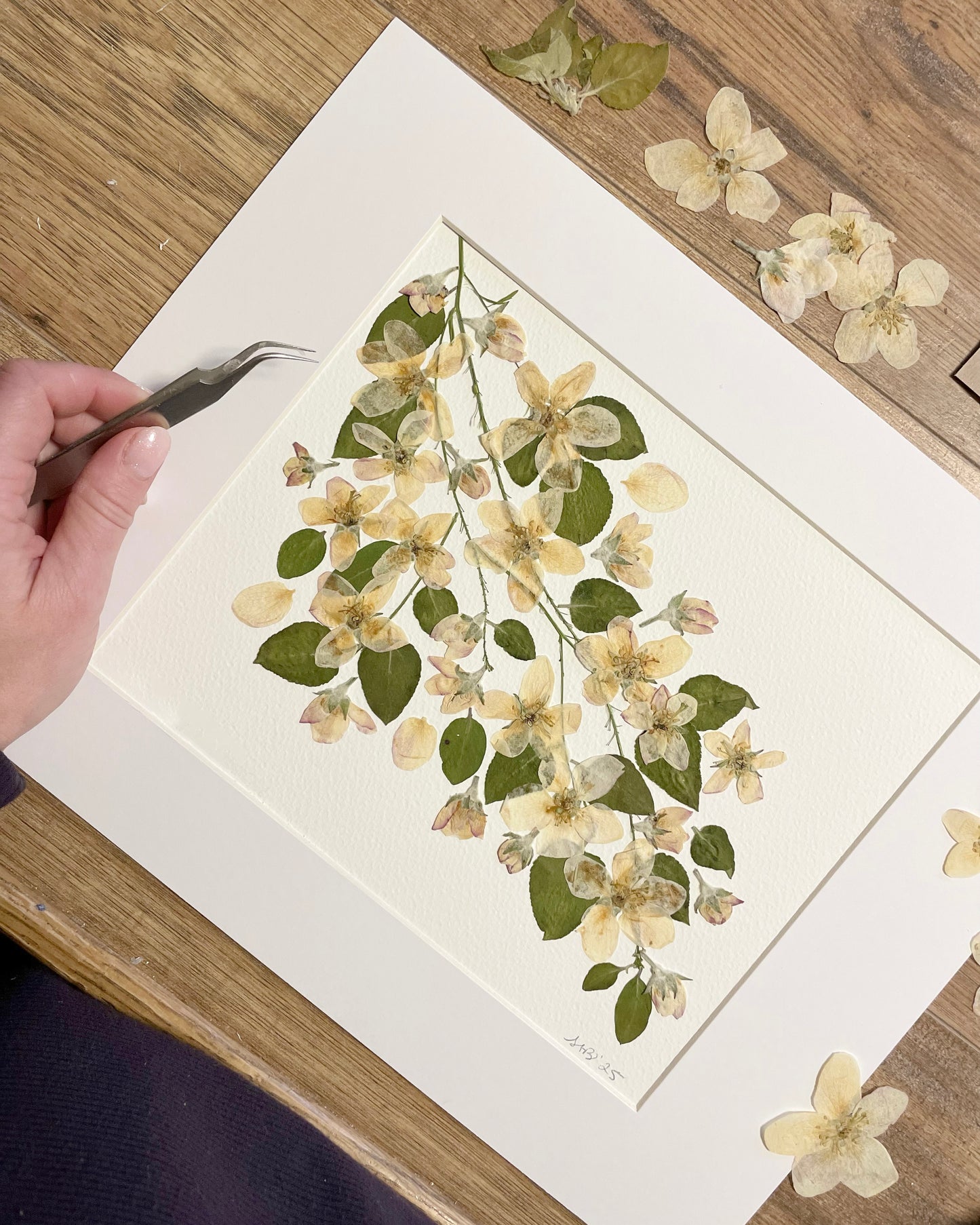 Apple Blossom Memory - Original Pressed Flower Artwork Framed