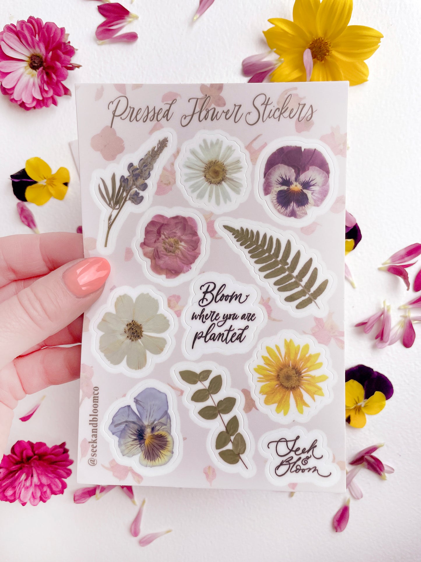 Pressed Flowers Sticker 4x6" Sheet of 11 stickers