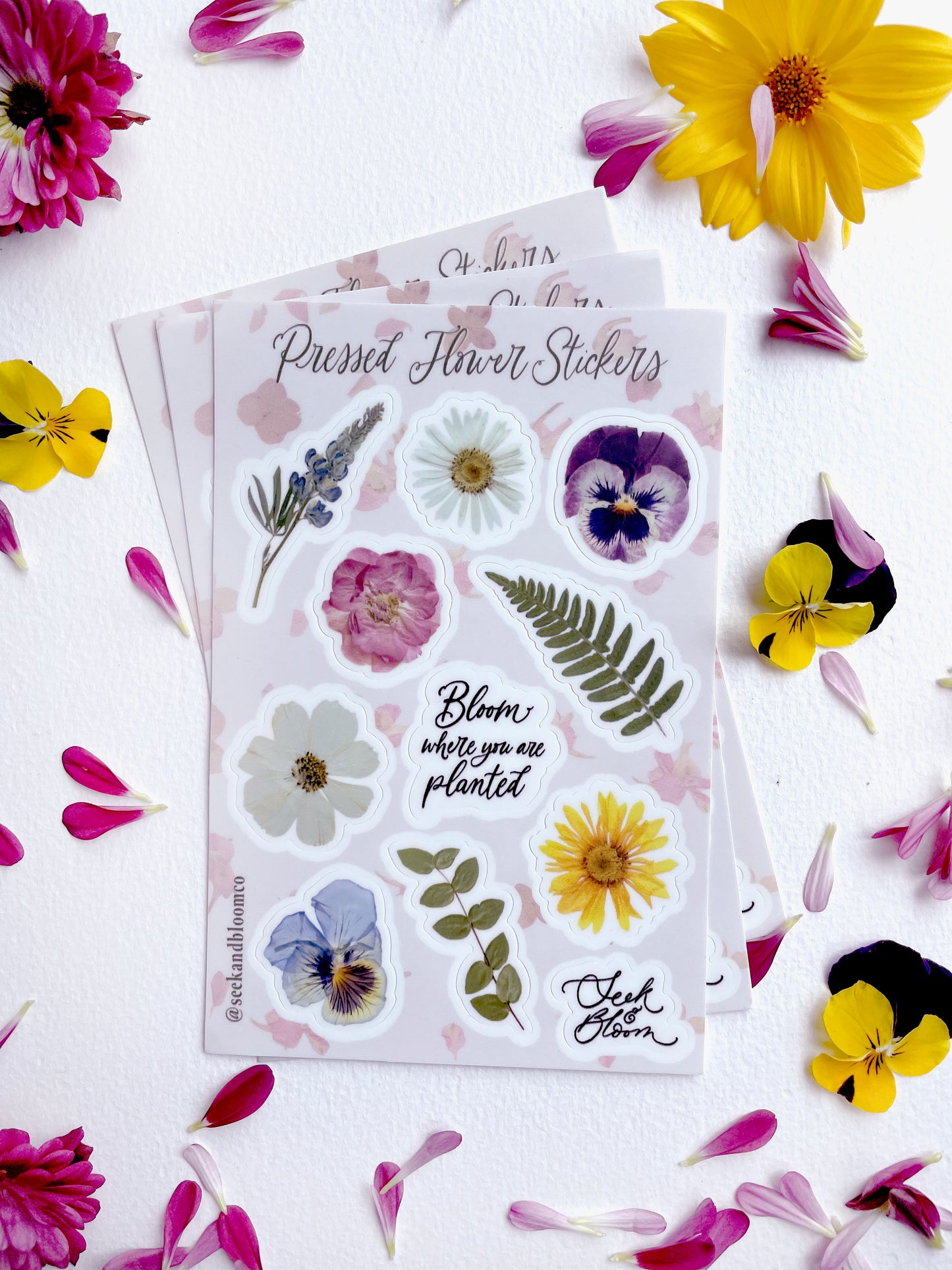 Pressed Flowers Sticker 4x6" Sheet of 11 stickers