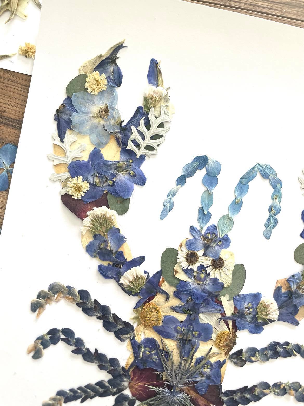 Lobster Blue Pressed Flowers, Pressed Flower 8x10 Art Print