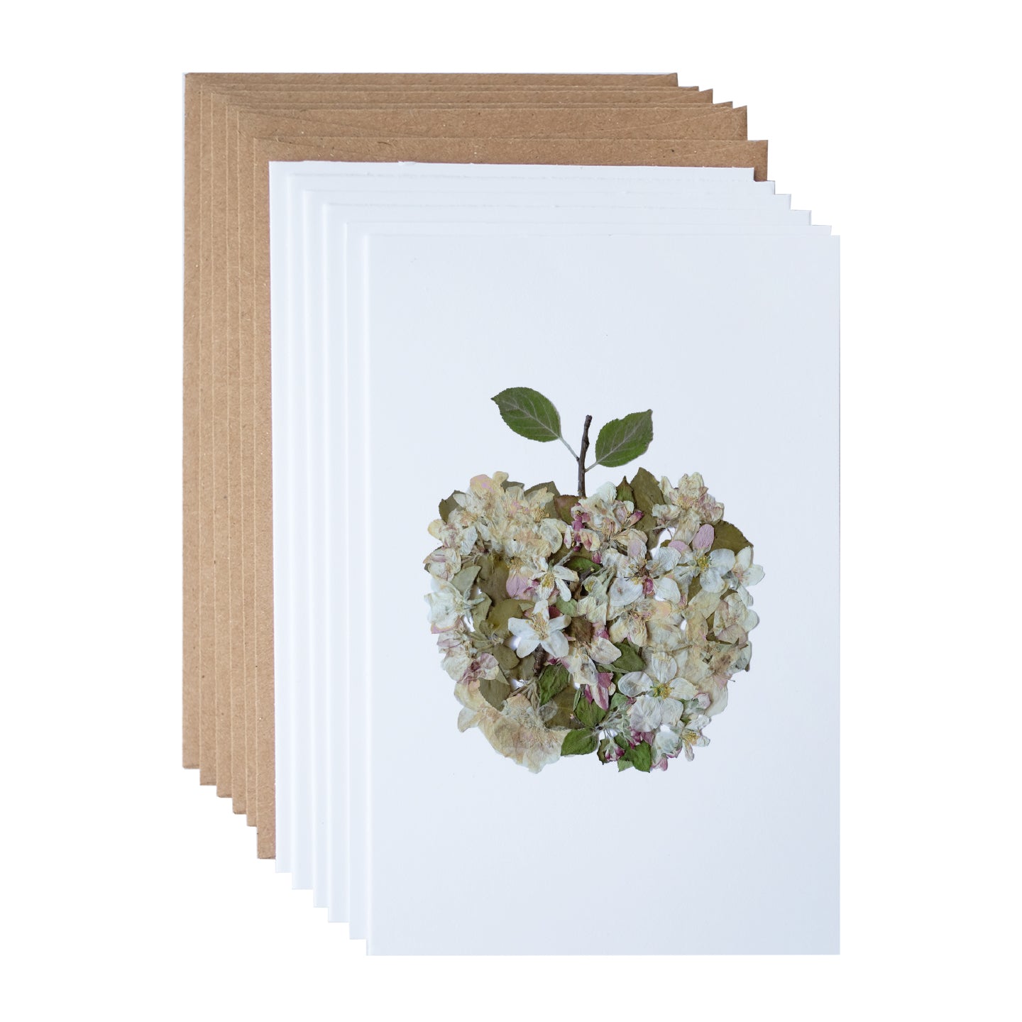 apple note card set artwork made from white pink and green apple blossom flowers and leaves 