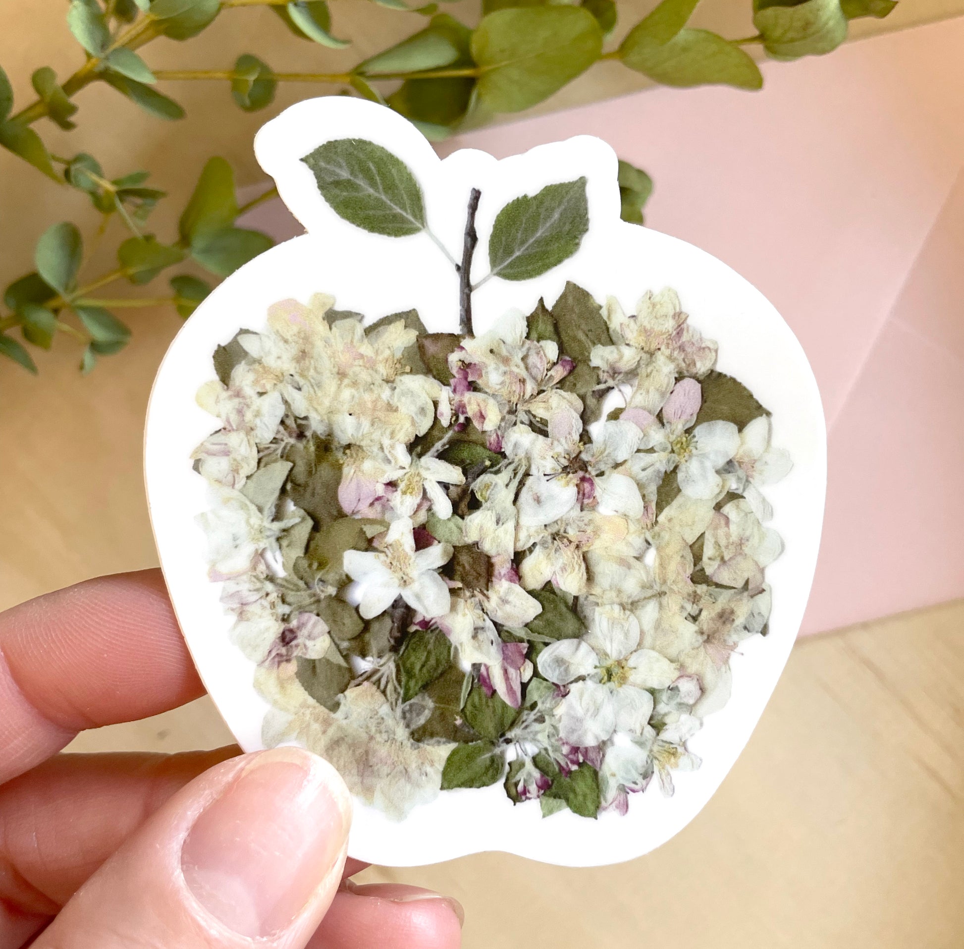 sticker of floral apple made from real apple blossoms and arranged in the shape of an apple. 
