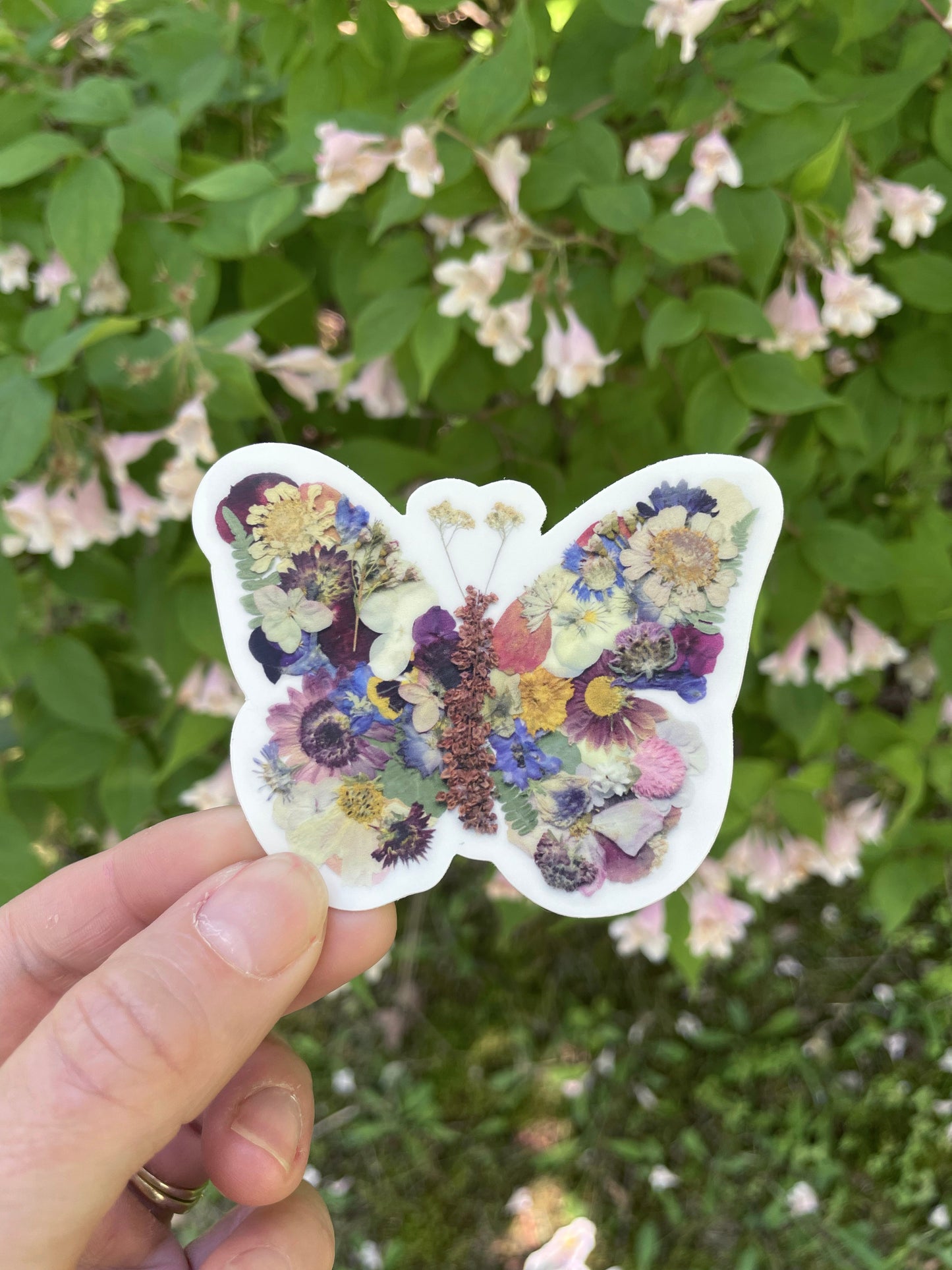 Butterfly Pressed Flowers, Sticker 3"