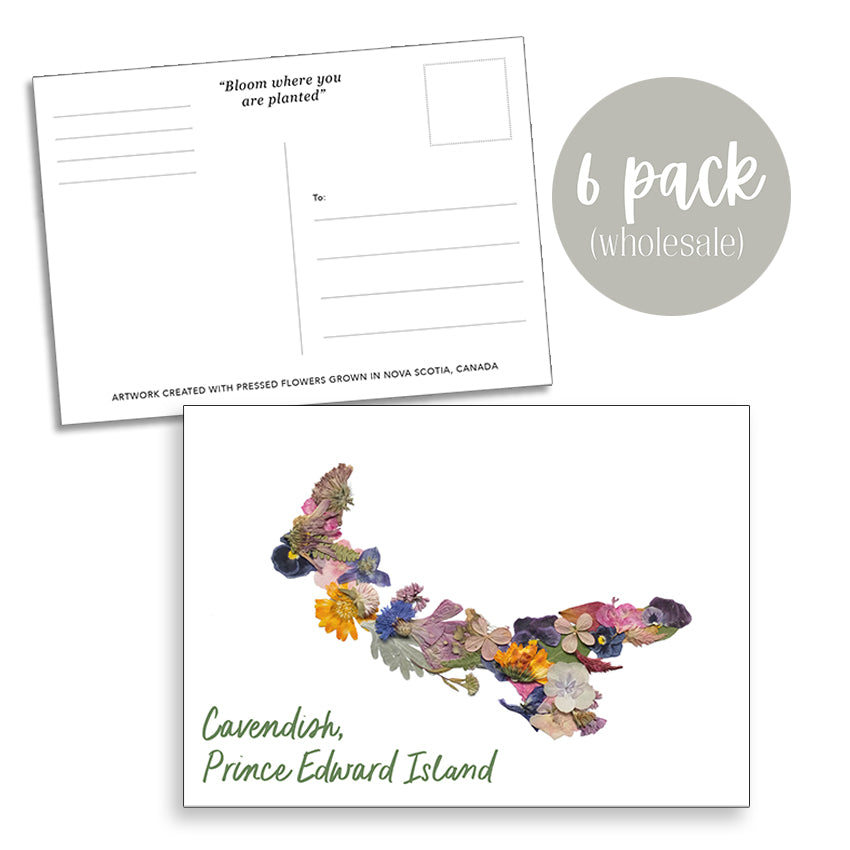 Post Card- 6 Pack Retail Set, Cavendish, PEI Flowers