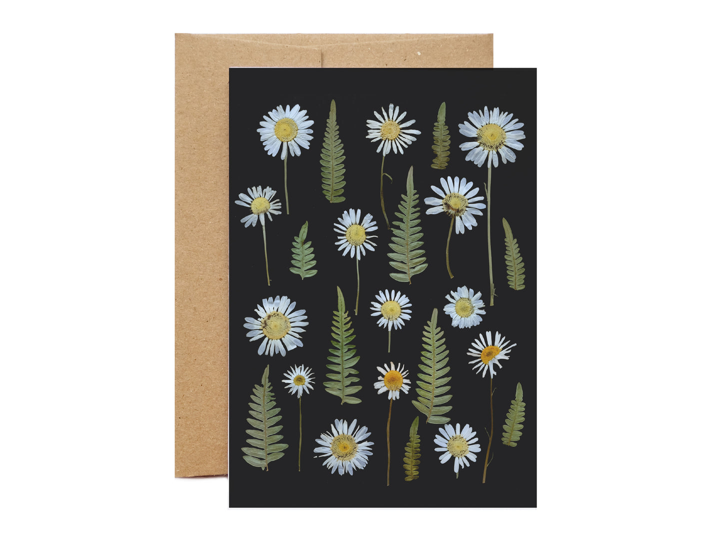 wild daisy card with pressed daisies on back background
