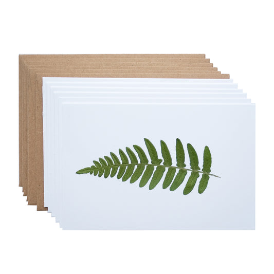 Fern Leaf, Note Card Set *Discontinued