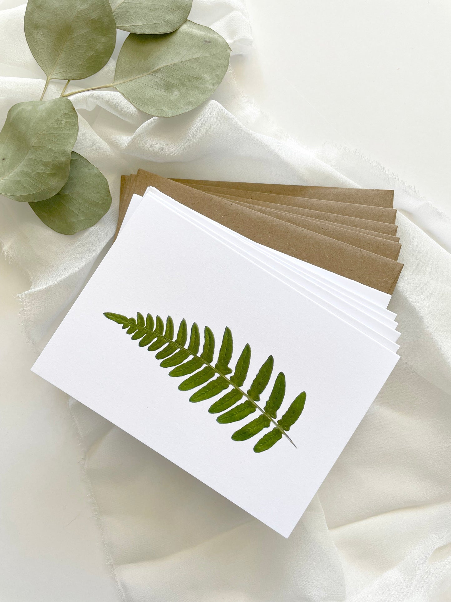 Fern Leaf, Note Card Set