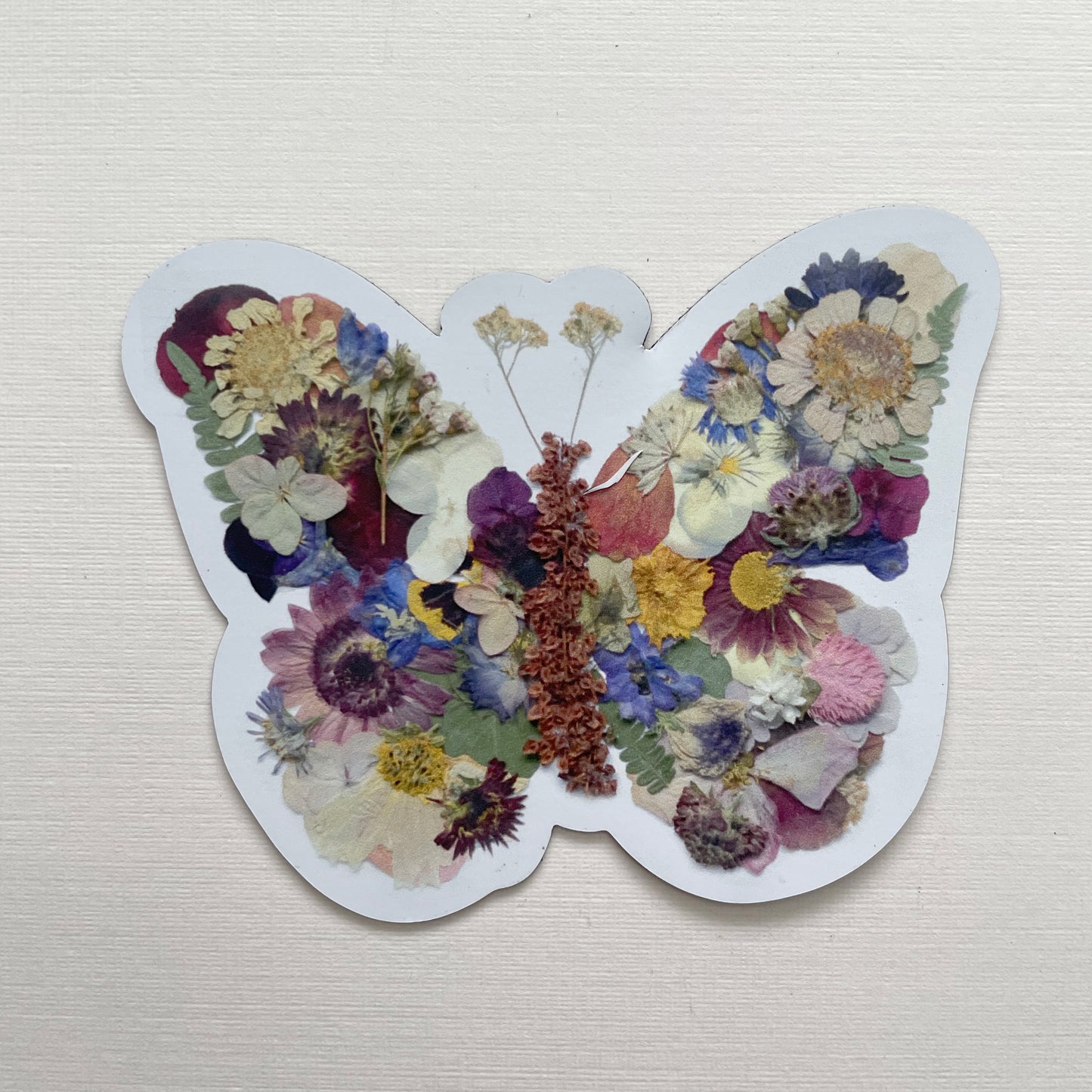 Butterfly Pressed Flower, 3" Magnet