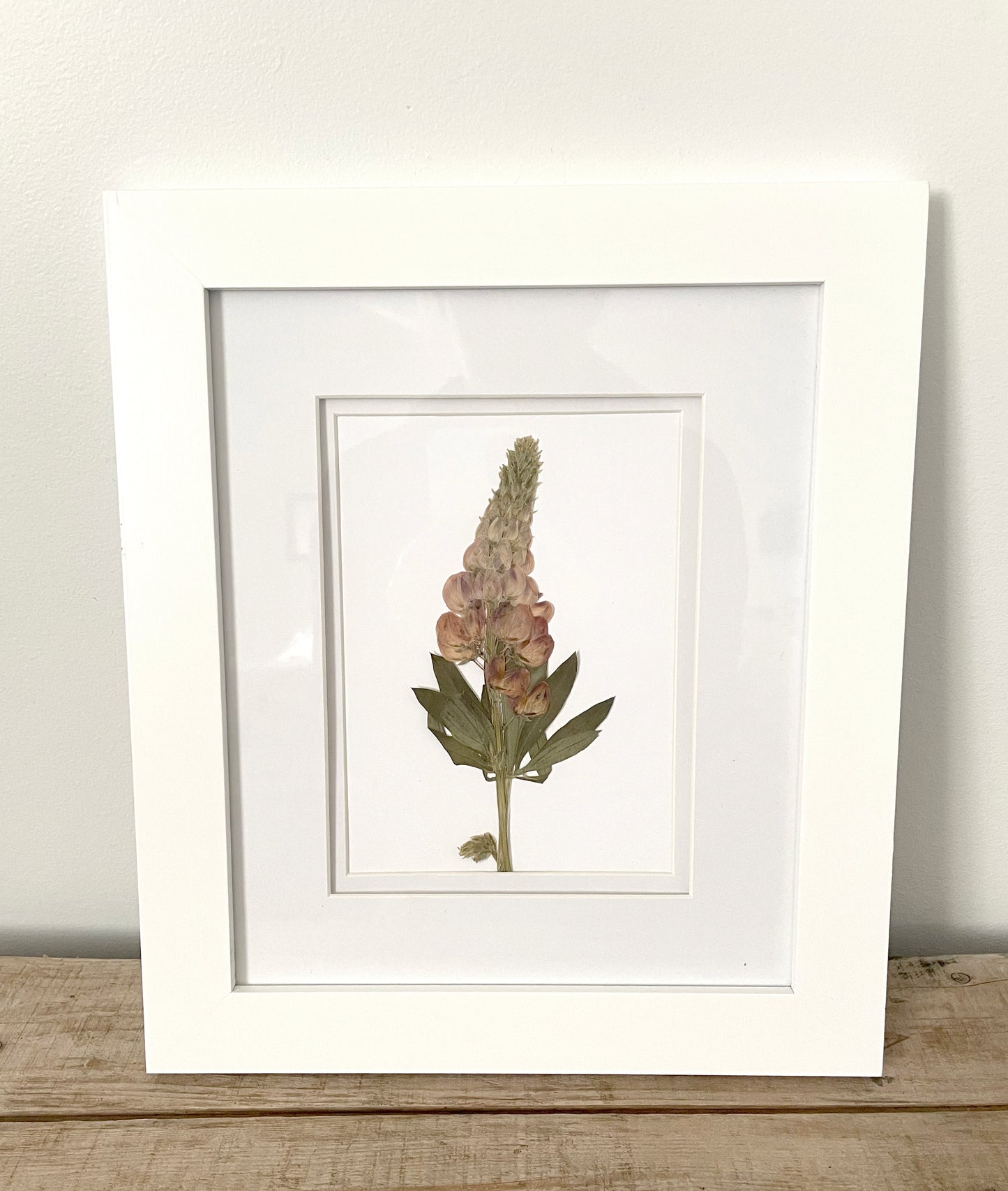 Wild Lupin Pressed Flower - Small (white frame)