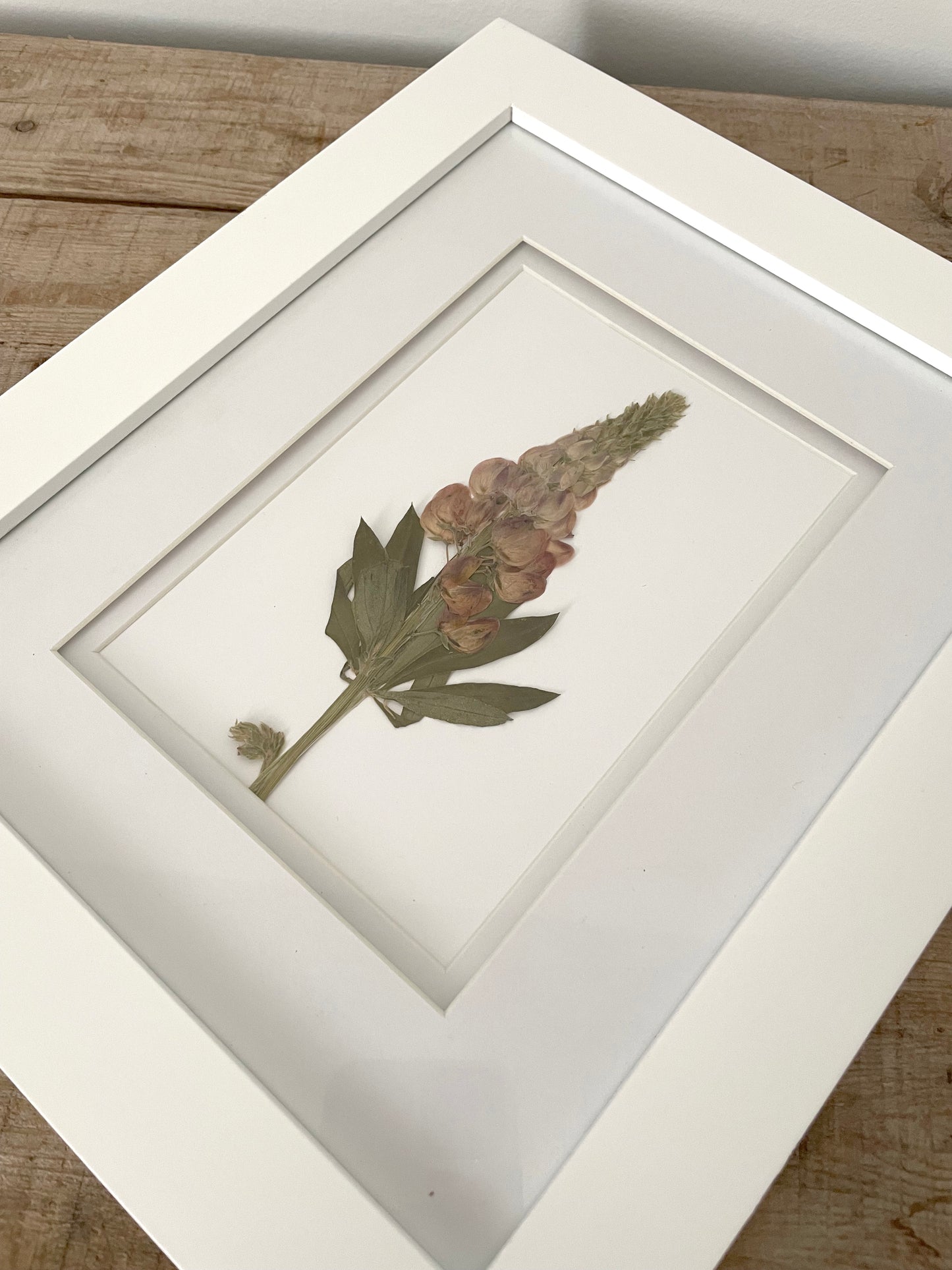 Wild Lupin Pressed Flower - Small (white frame)