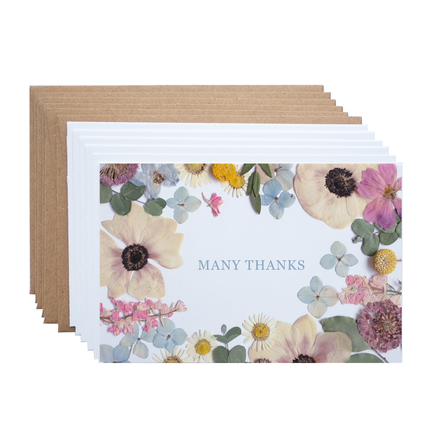 Thank You, Many Thanks Flower Border, Note Card Set