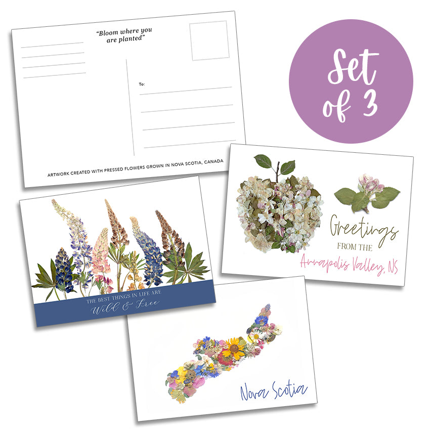 Post Cards - Set of 3 Nova Scotia Theme Pressed Flower Art Postcards