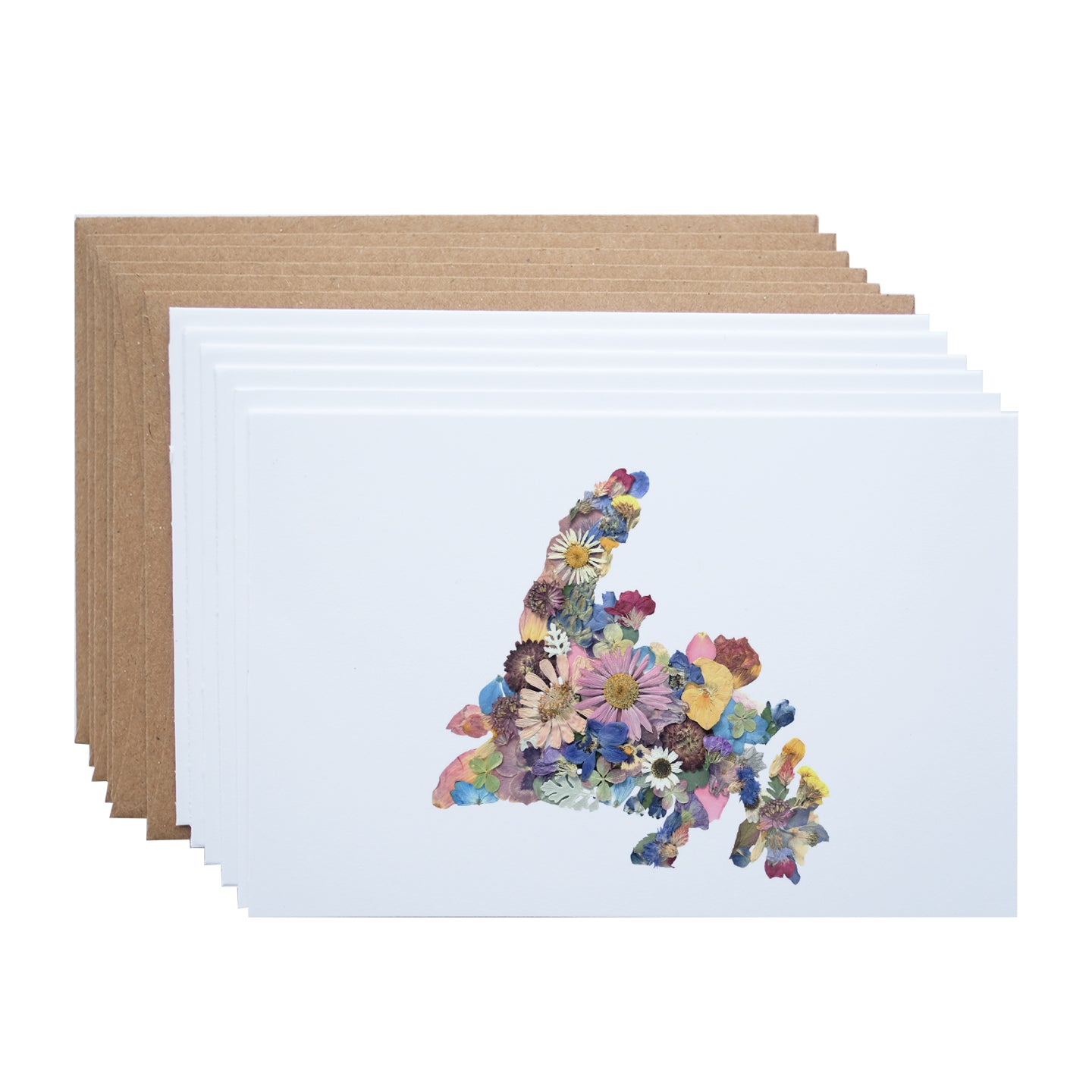 pressed flower newfoundland theme greeting  notecard set