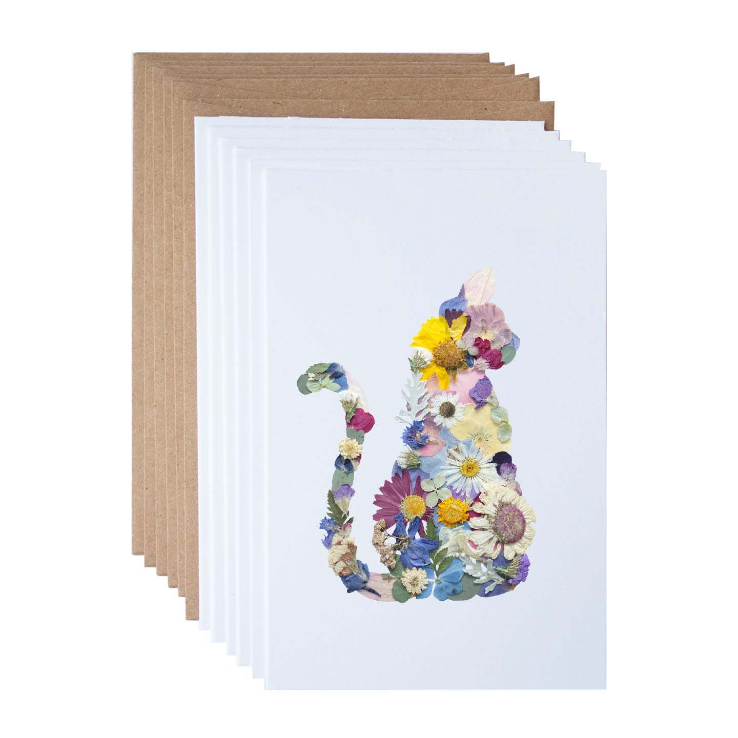 pressed flower cat note card set with colourful dried flowers arranged in cat silhouette