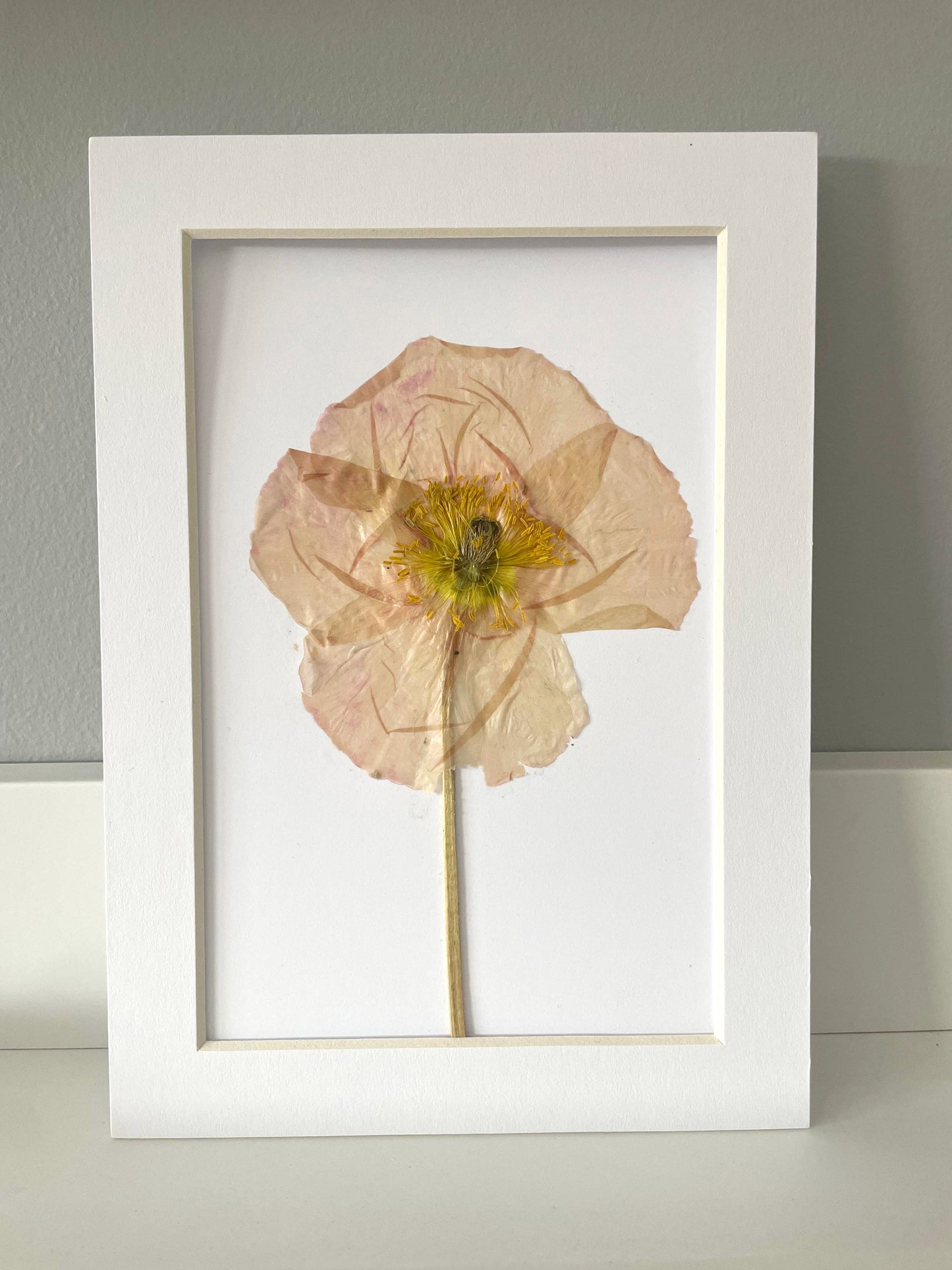 Mini Matted Original Flower Art 4x6