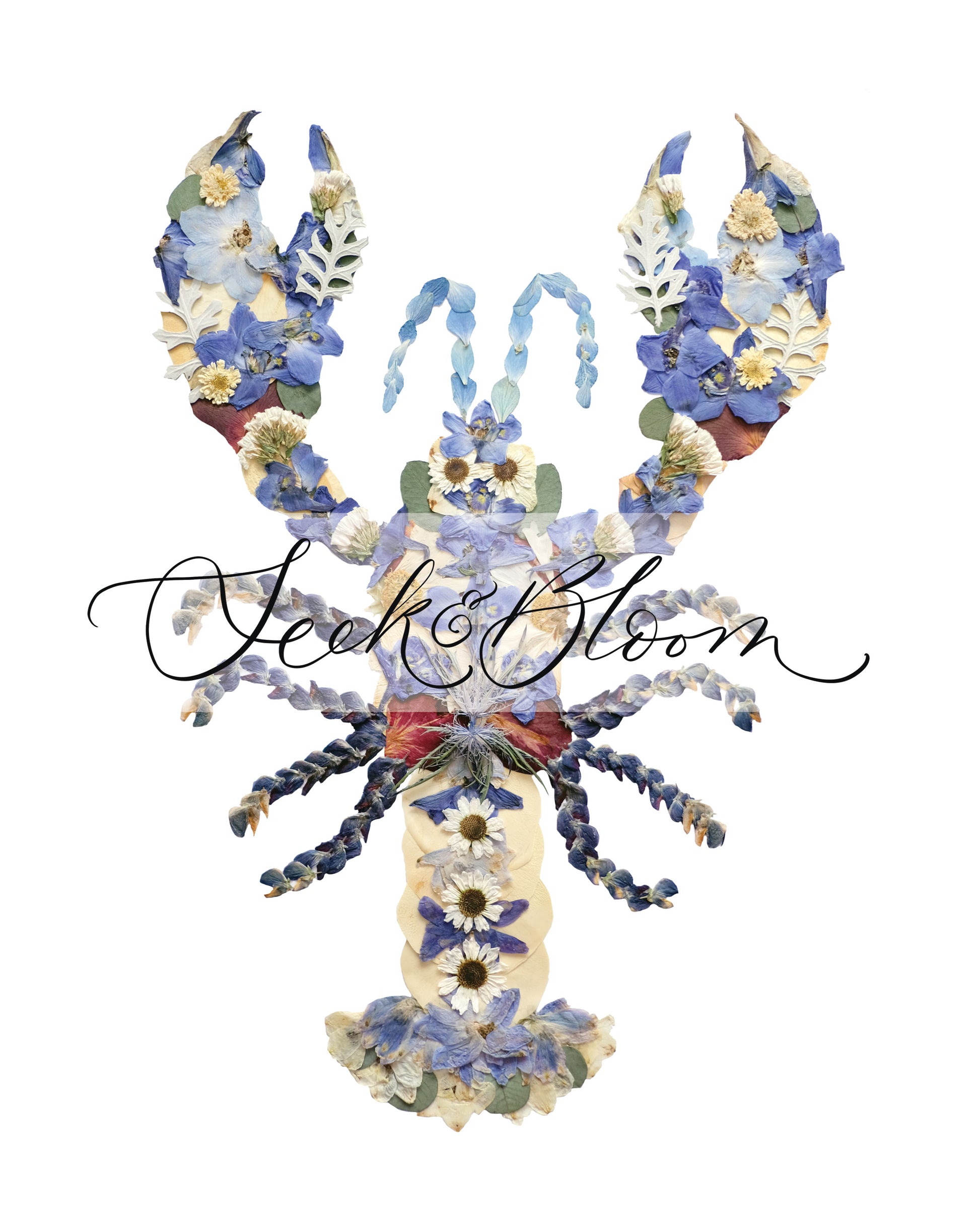pretty Blue lobster artwork artistic design made with pressed flowers nova scotia lobster