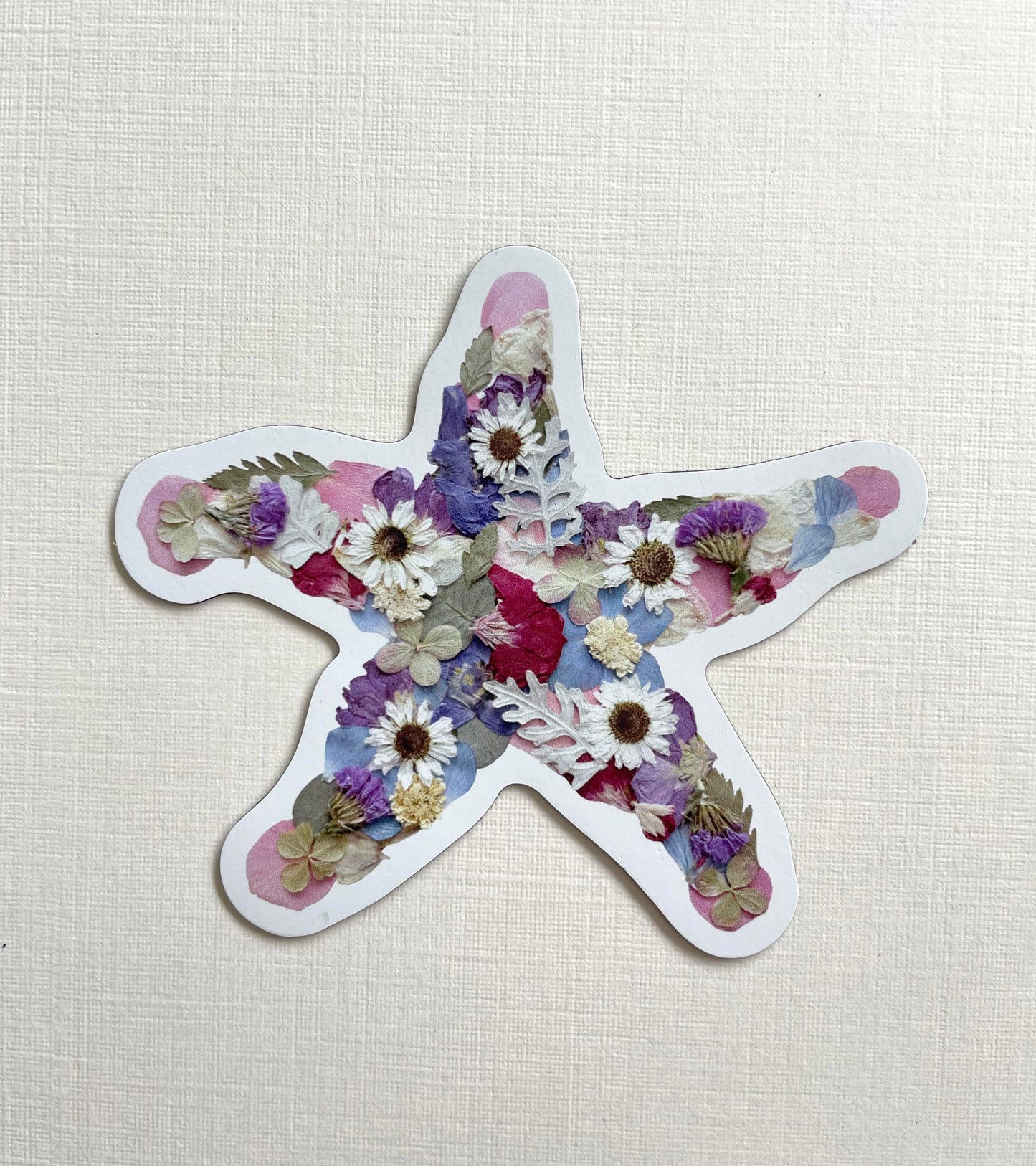 pressed flower starfish artwork magnet