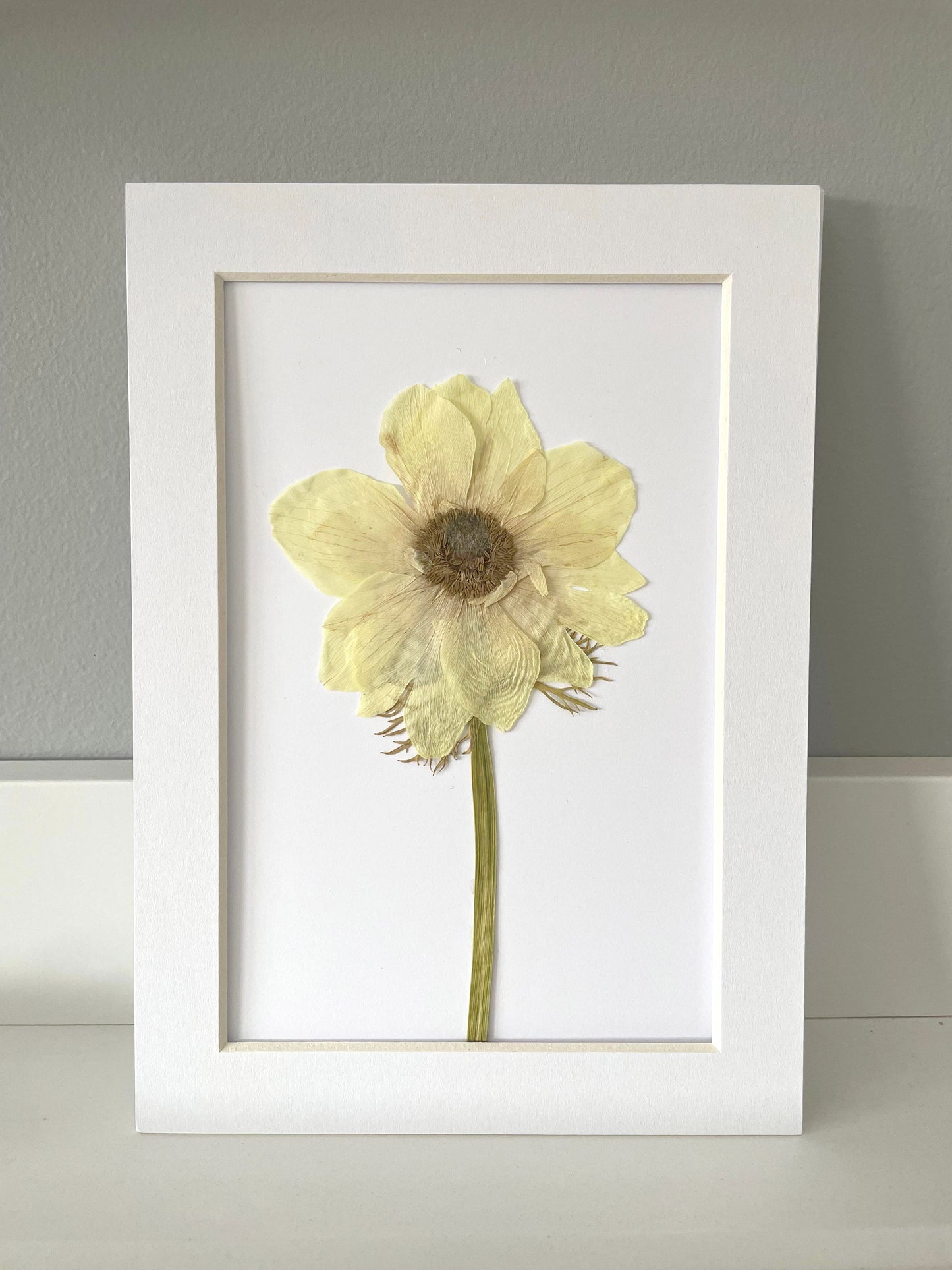 Mini Matted Original Flower Art 4x6